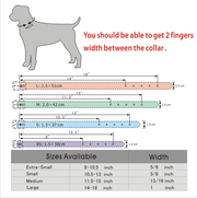 Bling Bling Pet Collar